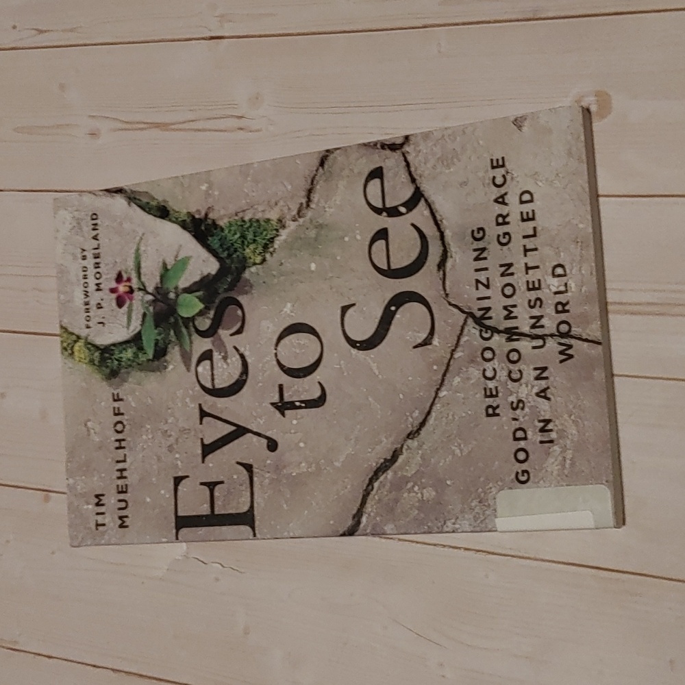 Eye To See Adult Non Fiction Book By Tim Muehlhoff Recognizing God's Common...